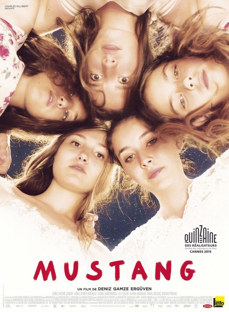 Mustang-895061507-large