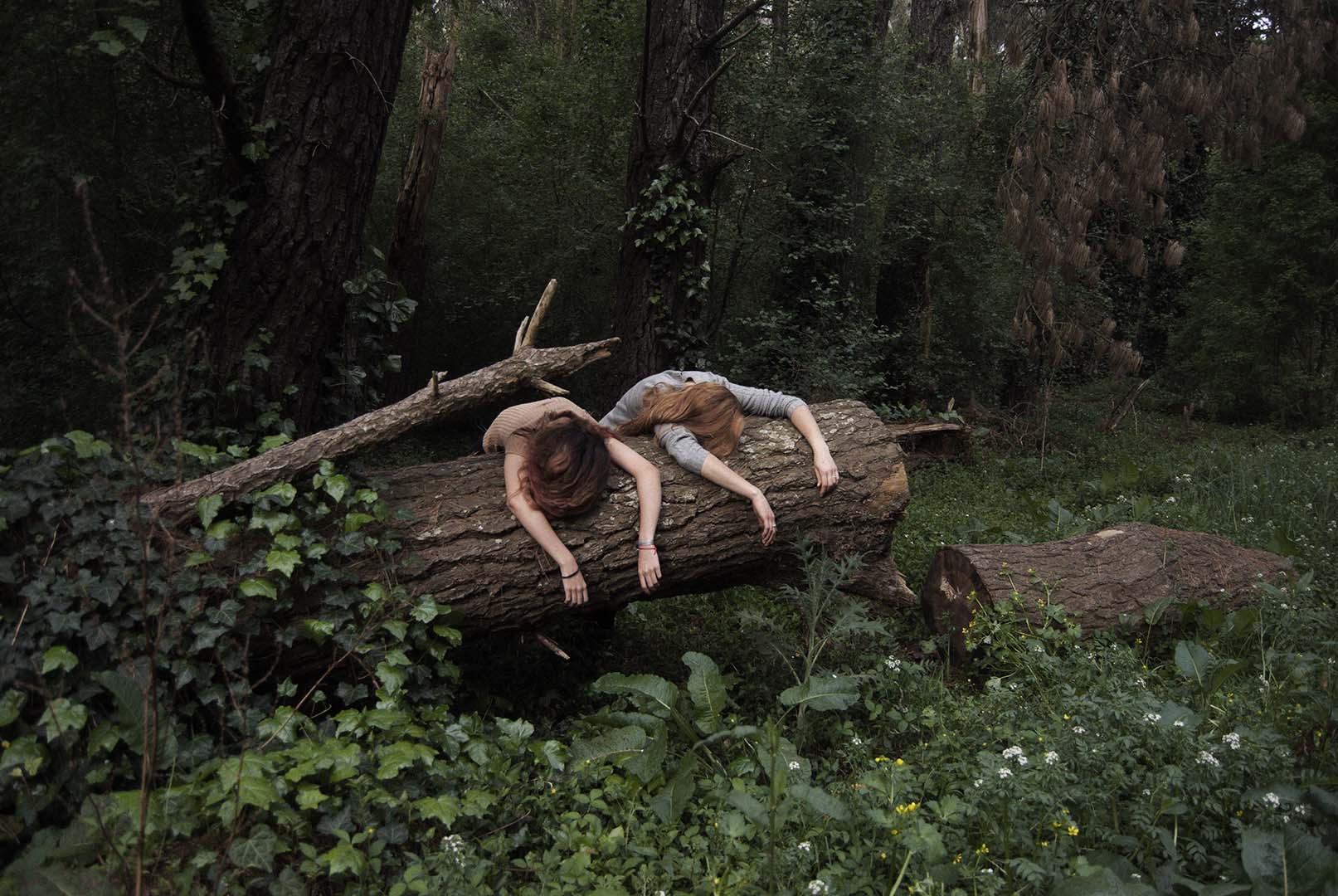 Beca TAI Foto III | Jaqueline Larsen