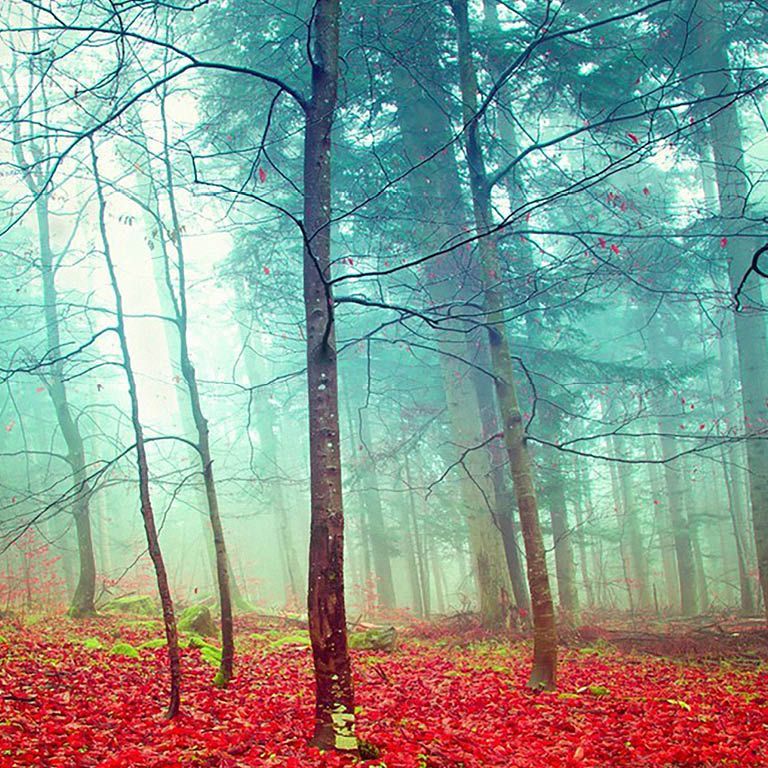 Cuento de invierno - Muestra 2º Diplomatura Artes Escénicas | Agenda