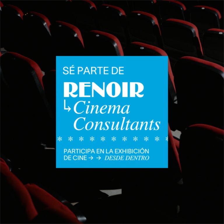 RENOIR CINEMA CONSULTANTS