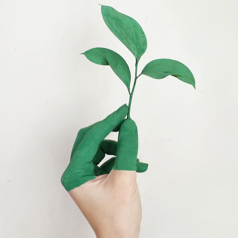 Día Mundial del Medio Ambiente